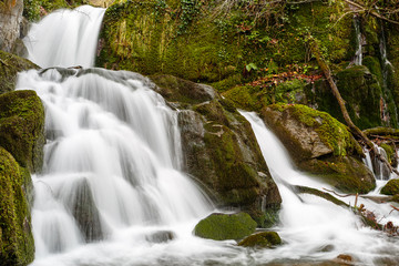 Obraz premium Cascadas, saltos de agua en el Arroyo Valdecuevas y rocas cubiertas de musgo. Hayedo de Cabornera de Gordón, León, España.