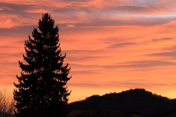 Veduta con i colori del tramonto, pino in primo piano, nuvole e dominante arancione