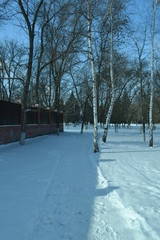 Красивый зимний  пейзаж в лесах и парках 