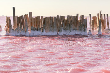 Wooden pillars of the destroyed bridge stick out of the natural red water in the place of salt extraction.