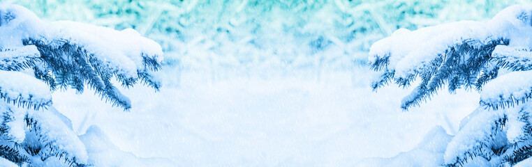 Winter Christmas Background for design with snow-covered branches of a Christmas tree and snowfall with copy space