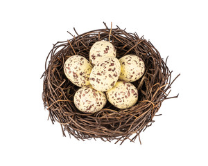 Naklejka na ściany i meble Bird's nest with small spotted eggs