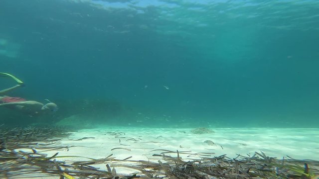 hombre buceando en el mar de una playa de Mallorca