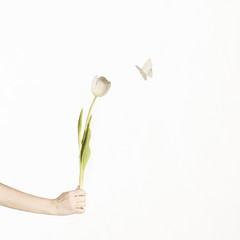surreal meet between a white tulip and an origami butterfly