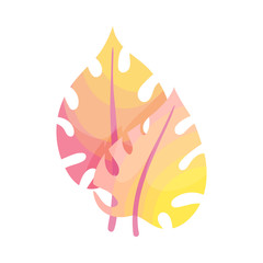 Abstract Colorful Plant Isolated on White Background