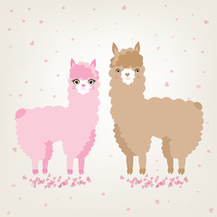 Obraz premium A couple of cute animals llama and alpaca in love