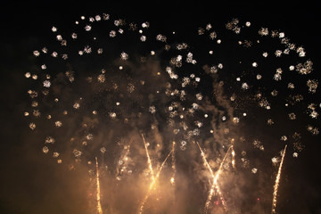 Obraz na płótnie Canvas Celebrating New Year with fireworks