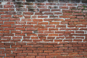 Obraz premium old red brick wall background