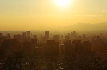 Fototapeta na wymiar Beautiful city landscape of Tokyo city in the sunrise and à¸”aint fog, cover the wind.