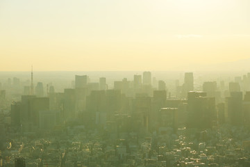 Beautiful city landscape of Tokyo city in the sunrise and ดaint fog, cover the wind.
