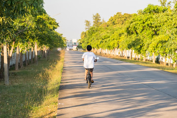 Beautiful sunset light with flower grass field on roadside and woman ride bicycle on road.