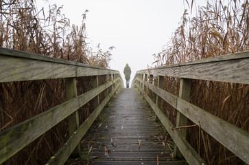 Obraz premium A woman walking on a small footbridge on a foggy, autumn day.