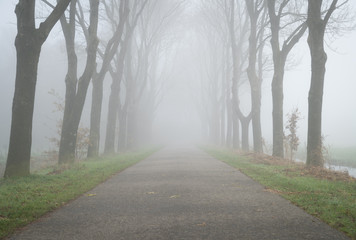 Empty, rural road  on a foggy day in autumn.