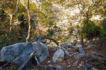 Mountains of avakas gorge in autumn. Hiking in the gorge.