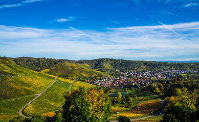 Fototapeta na wymiar Germany, Stuttgart uhlbach houses, a village surrounded by beautiful colorful vineyards and forested hills in autumn season with blue sky