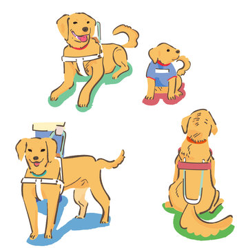 769 Best 盲導犬 Images Stock Photos Vectors Adobe Stock 769 Best 盲導犬 Images Stock Photos Vectors Adobe Stock