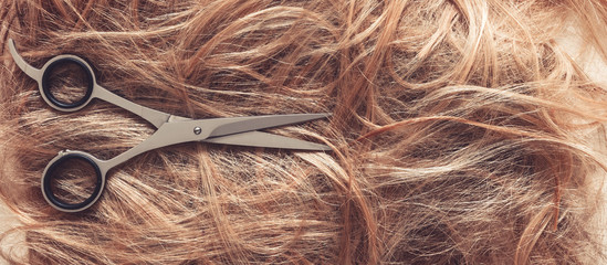 Hair close-up, background. Flat lay. Scissors, comb and background of hair with curls. The concept of haircuts, care, hair loss, baldness.