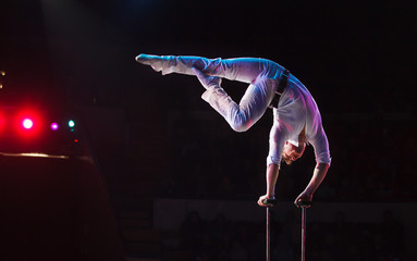 performance of air acrobats in the circus.