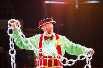 the clown's performance at the circus