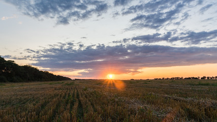 Obraz na płótnie Canvas Beautiful Sunrise over the field.Summer evening in Blagoveshenskaya. Anapa, Russia.