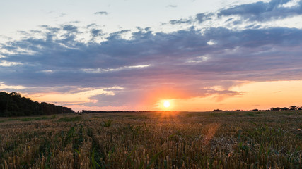Beautiful Sunrise over the field.Summer evening in Blagoveshenskaya. Anapa, Russia.