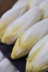 endive vrac