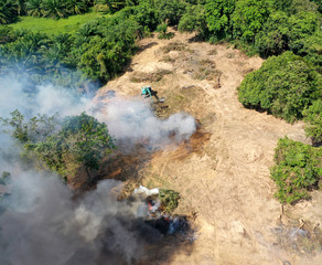 Forest fire. Rainforest burned for agricultural land. Deforestation and logging