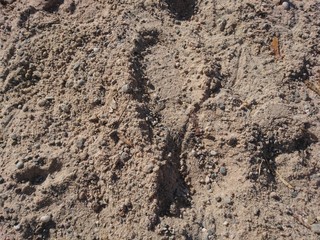 Footprints in the sand on holiday