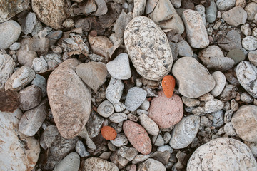 Pebbles stone texture and background. Abstract background made with small gray stones.