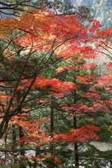 Landscape of Kamikochi trail (Japan alps / Japanese mountain)