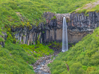 View on Svartifoss waterfall with impressive basalt stone formation on Iceland in summer
