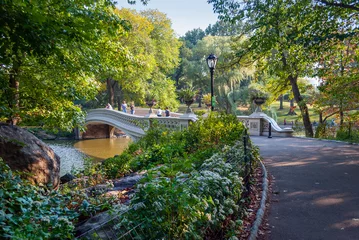 Foto auf Acrylglas Central Park Footbridge Central Park