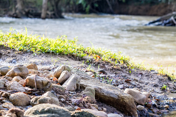 Stone near the creek with blur of stream water background