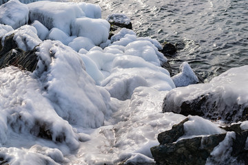 frozen rocks and starfish on the shore of the cold sea
