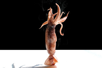 The squid with hot smoke placed vertically on a white table on a black background.