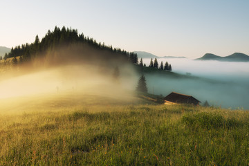 Fototapeta na wymiar Beautiful foggy landscape in the mountains. Fantastic morning glowing by sunlight.