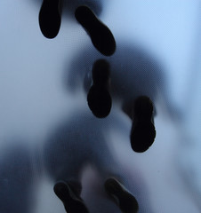 Feet of people who standing on translucent glass