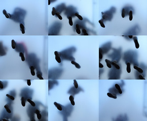 Feet of people who standing on translucent glass