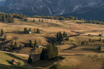 Landscapes on Alpe di Siusi with small cabins on grassland in autumn, South Tyrol, Italy