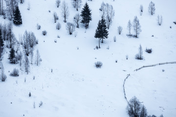 minimal winter mountain hill landscape with trees