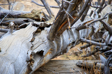 worker cutting steel on construction site