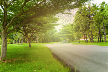 public parks, green trees, and fitness trails are ideal for relaxing weekend getaways