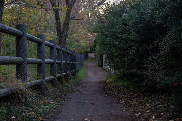 散歩道