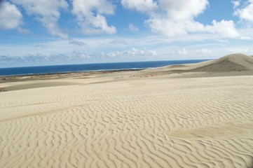 Fototapeta na wymiar desert de sable
