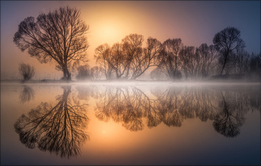 Goldener Morgen
