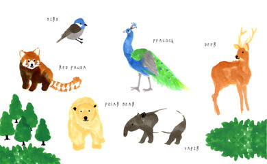 Hand-drawn animal illustrations Cute and friendly animals  　bear, red panda, and tapir peacock　かわいい動物イラスト素材　バク　シロクマ　熊　孔雀　