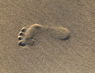 Fototapeta na wymiar Human footprint on beach sand. Path