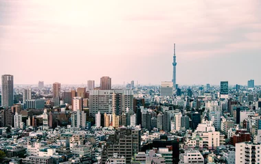 Foto op Plexiglas Tokyo skyscraper with Tokyo skytree in background in the morning © nithid18