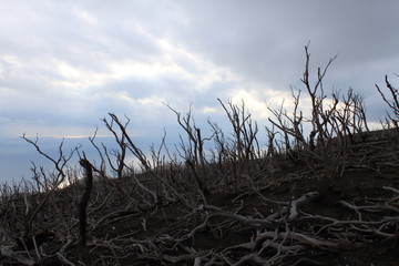噴火後の山