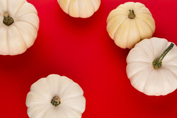 Creative Top view flat lay pumkin composition.